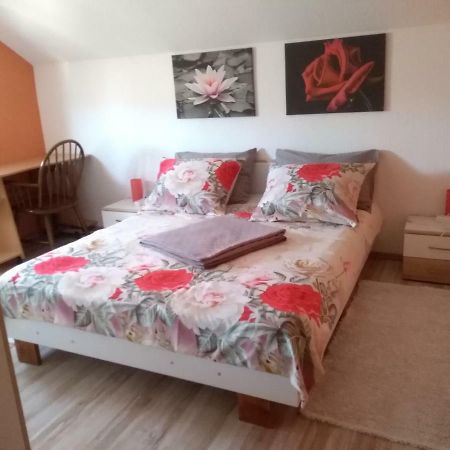 Apartman Franjicic Korenica Exterior photo